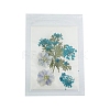 Pressed Dried Flowers DIY-B070-01D-1
