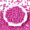 Baking Paint Pearlized Glass Seed Beads SEED-T008-03N-2