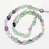 Natural Fluorite Bead Strands G-L459-19-2