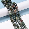 Natural Indian Agate Beads Strands G-E571-24B-2