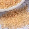 MIYUKI Round Rocailles Beads X-SEED-G009-RR0282-1