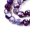 Dyed & Heated Natural Fire Crackle Agate Beads Strands G-N359-01B-07-4