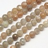Natural Multi-Moonstone Beads Strands G-J157-10mm-10-1