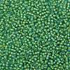 TOHO 8/0 Round Beads SEED-XTR08-0307-2