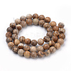 Natural Picture Jasper Beads Strands G-S259-27-10mm-2