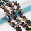 Natural Agate Beads Strands G-G021-04A-08-2