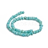 Shell Beads Strands BSHE-G026-02-3