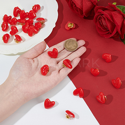 24Pcs 2 Styles Resin Pins JEWB-ME0001-31-1