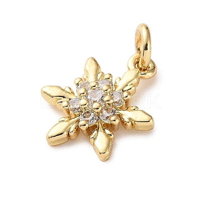 Brass Micro Pave Cubic Zirconia Pendants LS-KK-I383-05G-06-1