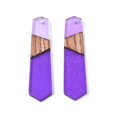 Resin & Walnut Wood Pendants RESI-N025-020-C03-1