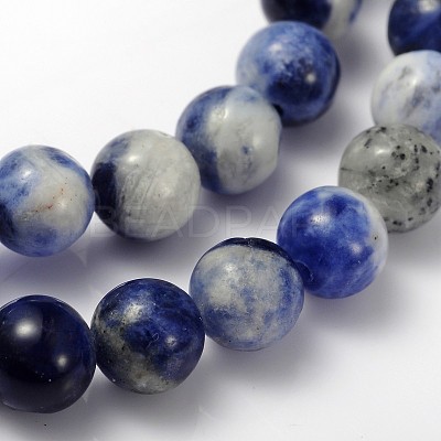Natural Sodalite Beads Strand GSR12mmC013-1