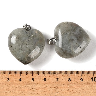 Natural Labradorite Pendants GG-CBAA0EE-04P-05-1
