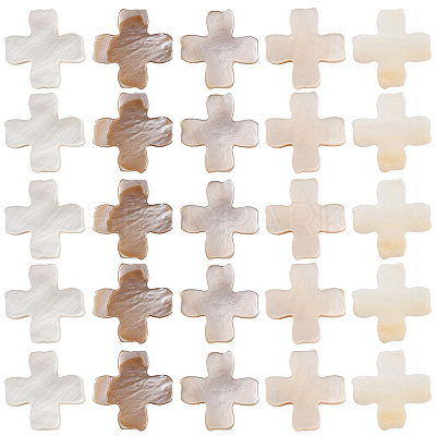 60Pcs Natural Freshwater Shell Beads SSHEL-SC0001-41-1