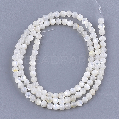 Natural White Shell Beads X-SHEL-T012-49B-1