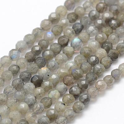 Natural Labradorite Beads Strands G-P322-30-4mm-1