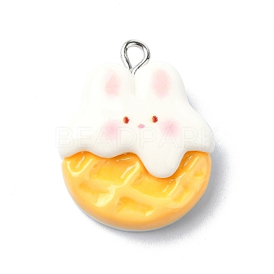 Resin Pendants RESI-I058-04B-1