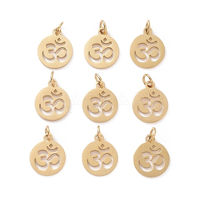 304 Stainless Steel Charms LS-STAS-Q201-T446G-1