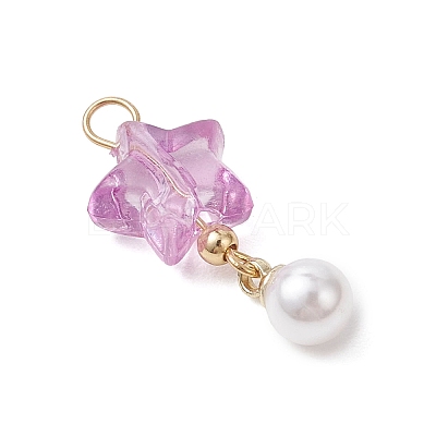 Transparent Acrylic Pendants PALLOY-JF04765-1