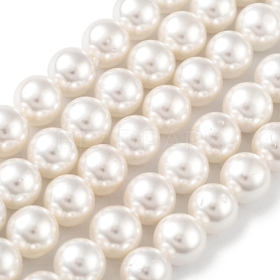 Shell Pearl Bead Strands X-BSHE-L026-03-8mm-1