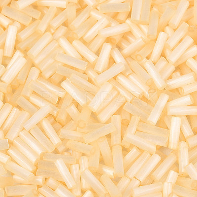 Glass Bugle Beads SEED-N007-28N-1