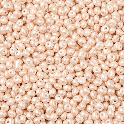 6/0 Glass Seed Beads SEED-L011-08A-24-1