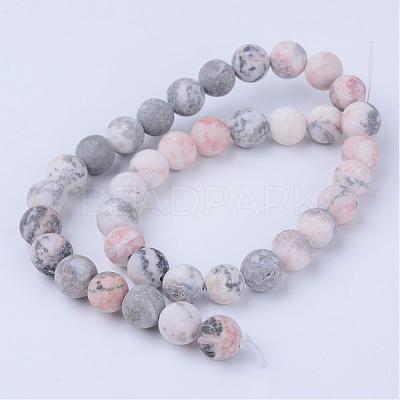 Natural Zebra Jasper Beads Strands G-Q462-8mm-03-1