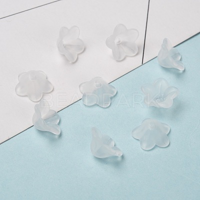 Transparent Acrylic Beads X-PL560-1-1