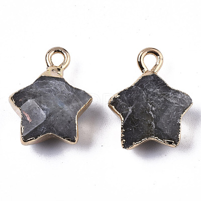 Natural Labradorite Pendants G-N326-36B-1