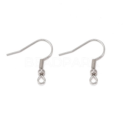 Iron Earring Hooks E135-1