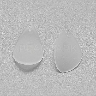 Transparent Acrylic Pendants FACR-S028-SB518-1