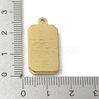 304 Stainless Steel Pendants STAS-G320-02F-G-1