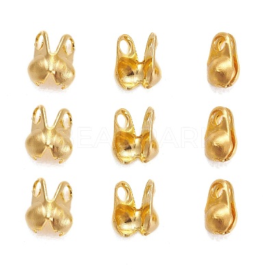 Iron Bead Tips IFIN-R199-01G-1