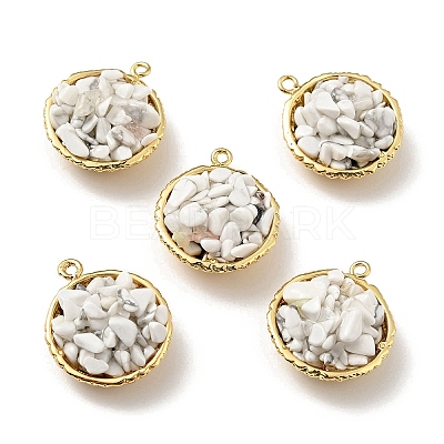 Natural Howlite Chip Pendants KK-C242-05G-15-1