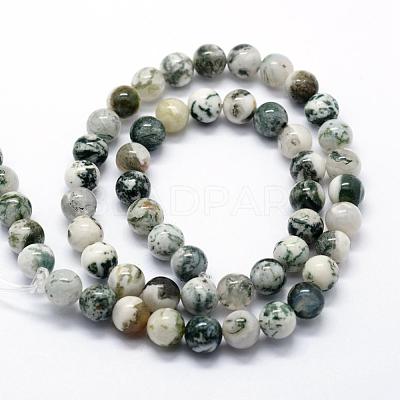 Natural Tree Agate Beads Strands G-I199-03-8mm-1