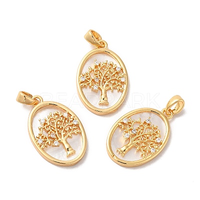 Brass Shell Pendants LS-KK-M243-34G-1