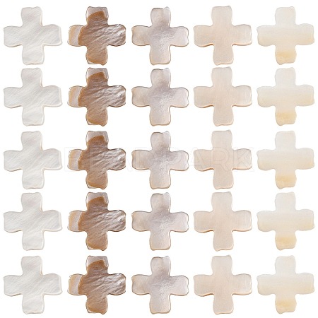 60Pcs Natural Freshwater Shell Beads SSHEL-SC0001-41-1