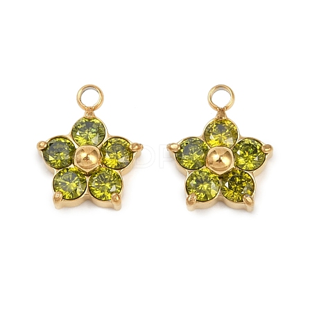 304 Stainless Steel Micro Pave Cubic Zirconia Charms STAS-B088-01G-04-1