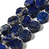 Natural Lapis Lazuli Beads Strands G-P534-A12-02-1