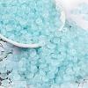 Transparent Colours Glass Seed Beads X1-SEED-P008-01B-01-1
