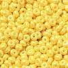 Baking Paint Luster Glass Seed Beads X1-SEED-B001-04A-06-3