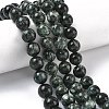 Natural Seraphinite Beads Strands G-C270-O01-11-1