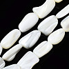 Natural Trochid Shell/Trochus Shell Beads Strands SSHEL-S266-014A-1