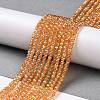 Electroplate Transparent Glass Beads Strands X1-GLAA-H021-01B-FR06-3