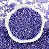 Baking Paint Silver Lined Glass Seed Beads SEED-H003-09G-3