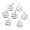 304 Stainless Steel Charms STAS-F249-48P-1