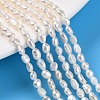 Natural Cultured Freshwater Pearl Beads Strands PEAR-N014-03F-01-1