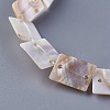 Natural Shell Beads Strands Y-SSHEL-L009-02-3