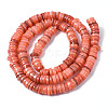 Natural Freshwater Shell Beads Strands X-SHEL-S278-025H-2