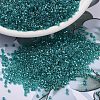 MIYUKI Delica Beads X-SEED-J020-DB2380-1