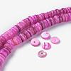 Natural Freshwater Shell Beads Strands BSHE-I016-04D-4
